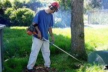 Best 4-Cycle Gas Weed Eaters