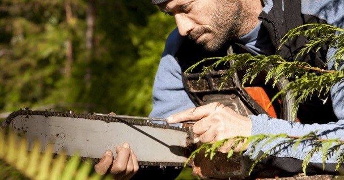 Best Chainsaw Sharpener Best Chainsaw Sharpener