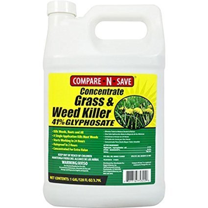 Compare-N-Save Concentrate Weed and Grass Killer