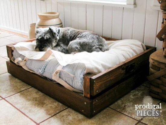 Larissa's DIY Pet Bed Tutorial