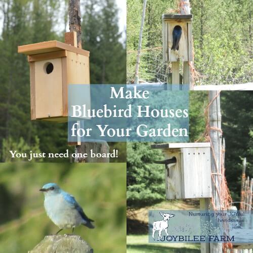 Bluebird Houses DIY Tutorial