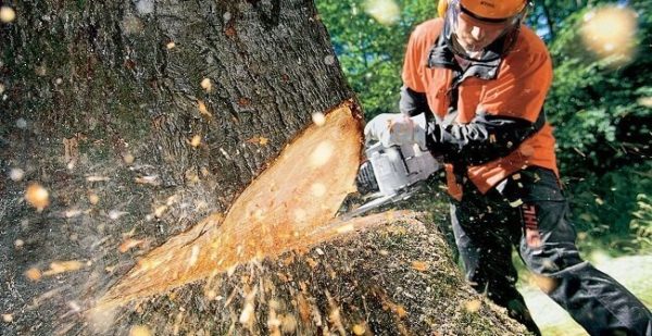 best chainsaw for wood cutting