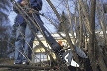 Best Manual Pole Saws and Pruners