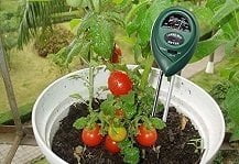 Best Soil Test Kits for Gardeners