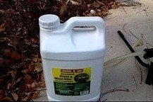 Best Weed Killers for Gardening