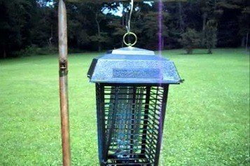 Bug Zapper Bulbs >> 10 Best Bug Zappers In 2018 - Indoor & Outdoor Bug Zappers Bug Zapper Bulbs >> 10 Best Bug Zappers In 2018 - Indoor & Outdoor Bug Zappers