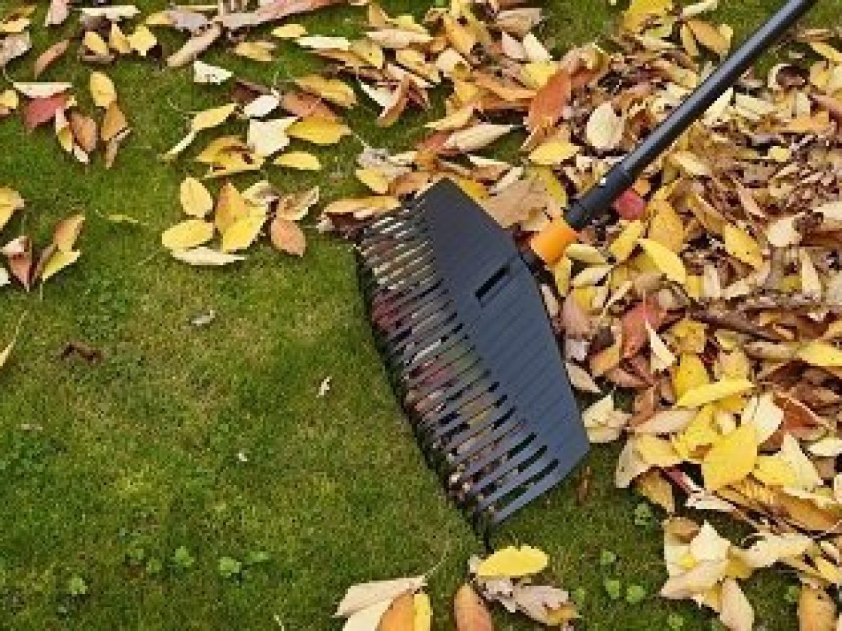 best leaf rake