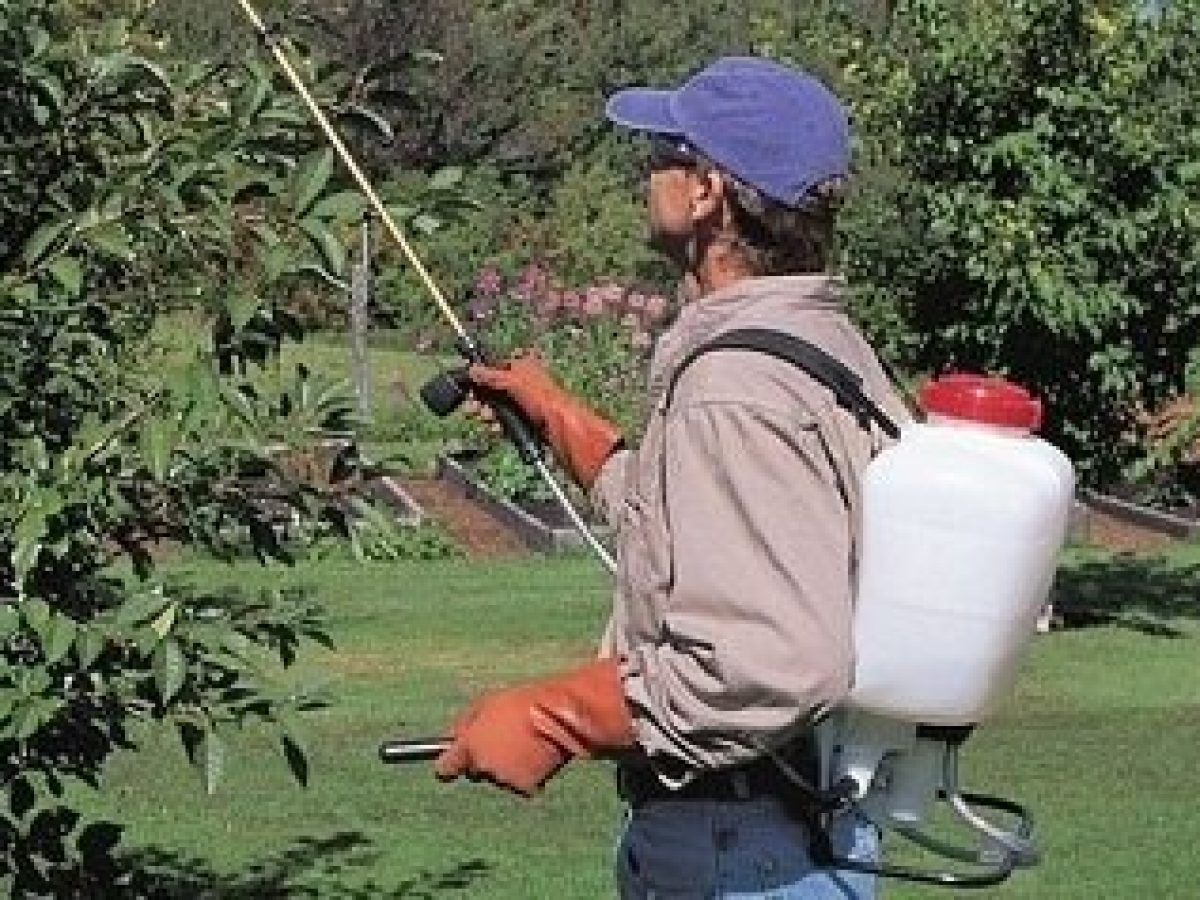 10 Best Backpack Sprayers For Fertilizer Herbicides And Pesticides