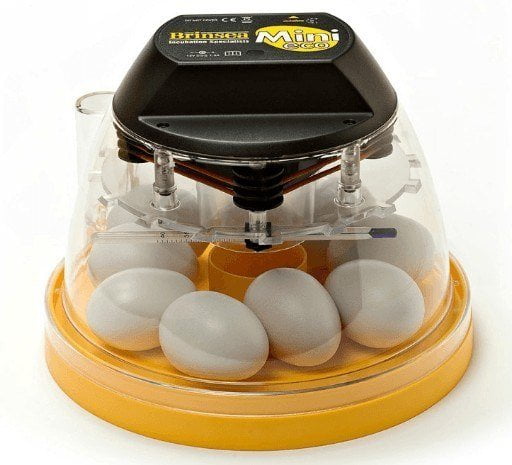 best egg incubators