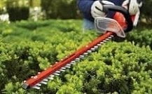 Best Electric Hedge Trimmers