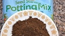 Best Seed Starting Mixes