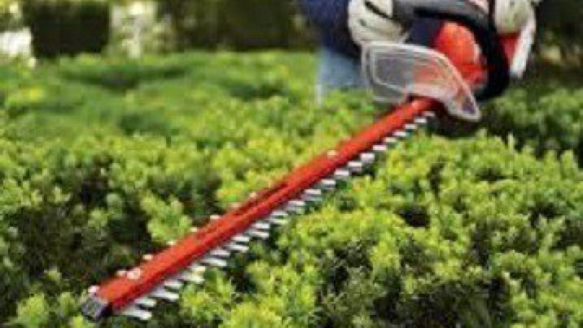 best electric hedge trimmer corded