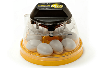 egg incubator reviews