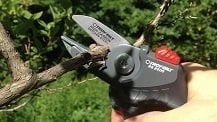 Pruning Shears