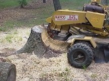 Stump Grinder