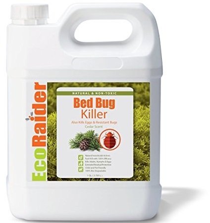 EcoRaider Bed Bug Killer, Plant Based Non-toxic Formula Bug Spray