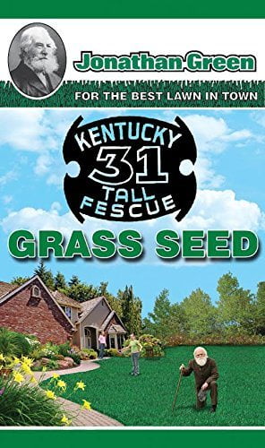 Jonathan Green Kentucky Tall Fescue Grass Seed