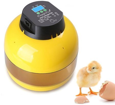 Magicfly Digital Mini Semi Auto Egg Incubator