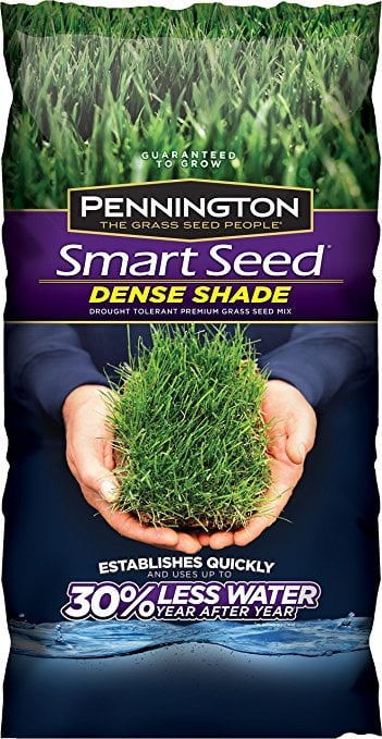 Pennington Smart Seed Dense Shade Mix