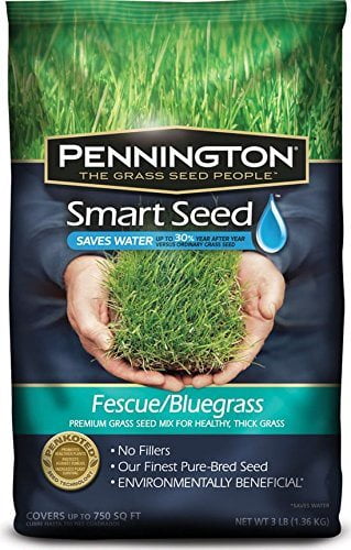 Pennington Smart Seed Fescue/Bluegrass Mix