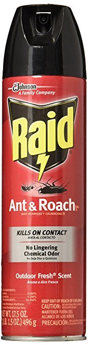 Raid Ant and Roach Killer Insecticide Spray