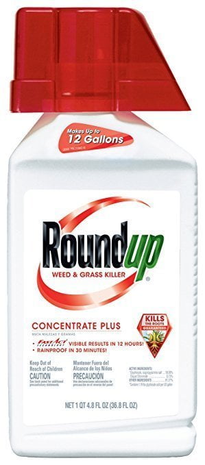 Roundup Weed and Grass Killer Concentrate Plus