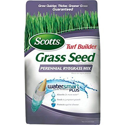 Scotts Turf Builder Grass Seed - Perennial Ryegrass Mix