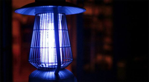 small electric bug zapper