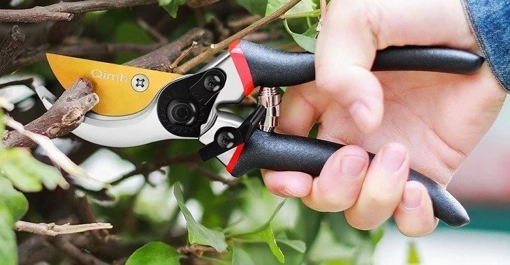 Best Pruning Shear