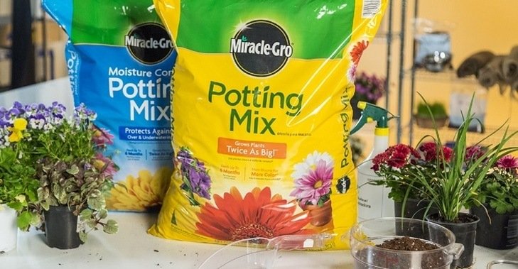 10 Best Potting Soils – Reviews and Buying Guide