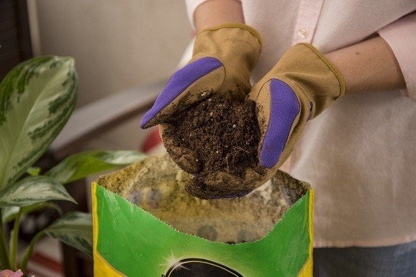 How to Buy Best Potting Soil