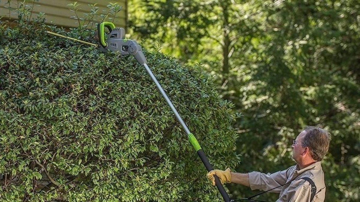 best gas pole hedge trimmer