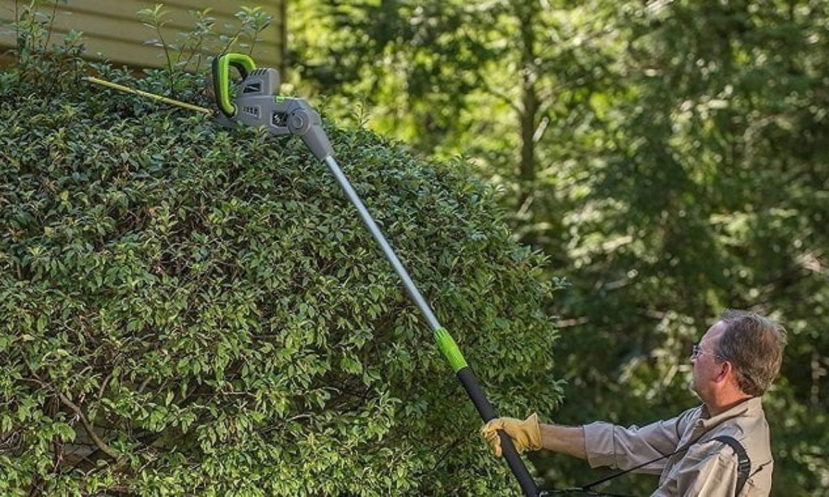 best cordless pole hedge trimmer
