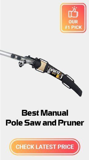 Best Manual Pole Saw & Pruner