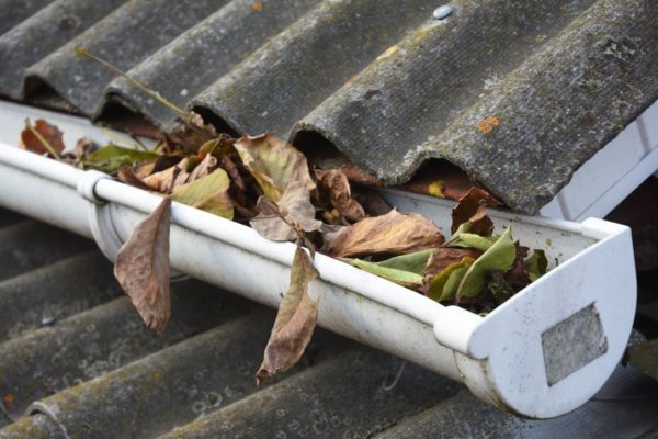 Our Installers Lifted Up A Screen Gutter Guard To Find A Large Amount Of Pine Needles And Dirt A Huge Gutter Cleaning Gutters Gutter Protection Gutter Screens